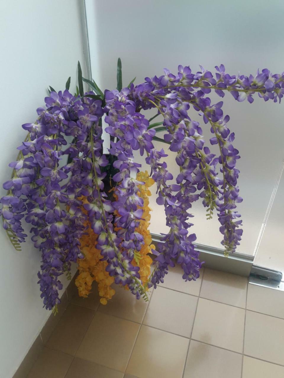 Hotel Casa Jardin Asuncion Ngoại thất bức ảnh